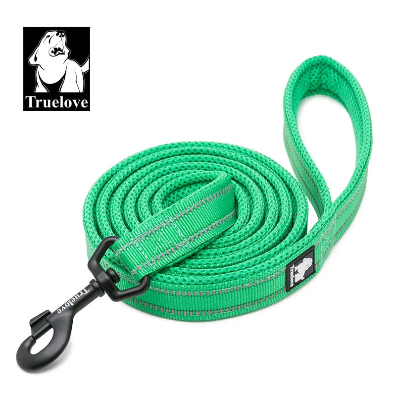 Soft-Padded Reflective Dog Leash - Grass Green