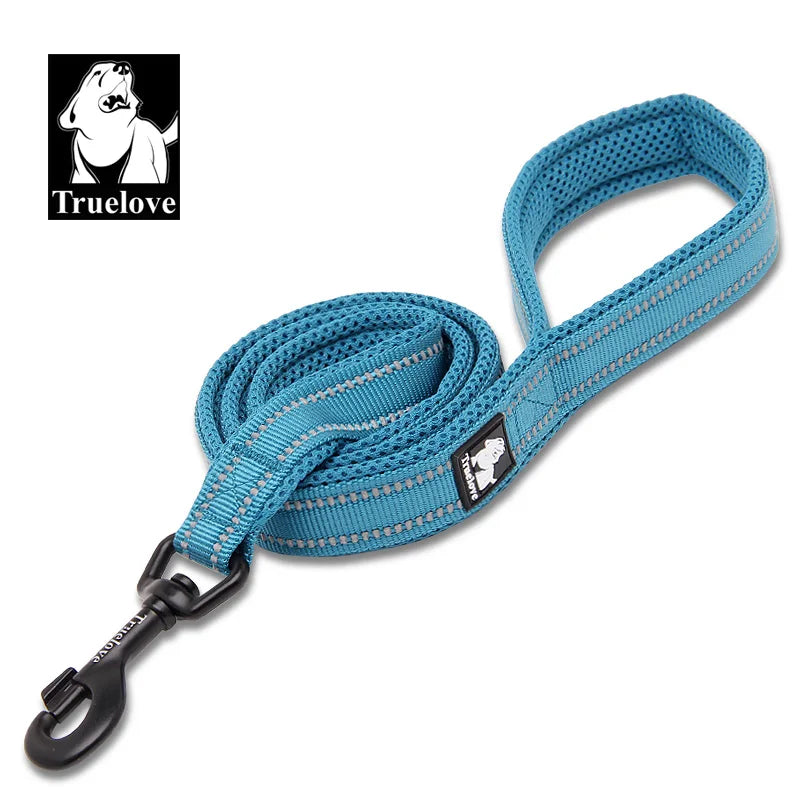 Soft-Padded Reflective Dog Leash - Blue