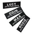 Personalized Dog Collar with Custom Name Patch - L (patch 40 × 150 mm)
