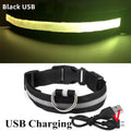 USB Rechargeable LED Safety Dog Collar - Black – USB Rechargeable