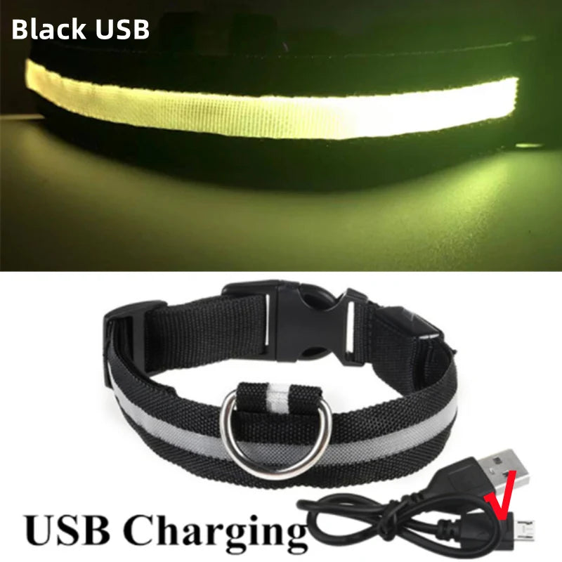 USB Rechargeable LED Safety Dog Collar - Black – USB Rechargeable