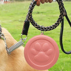 2-in-1 Travel Dog Bowl with Treat Storage