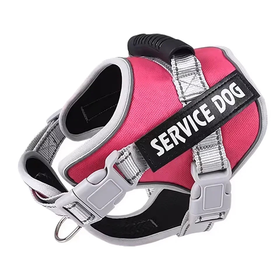 No-Pull Reflective Dog Harness & Leash Set