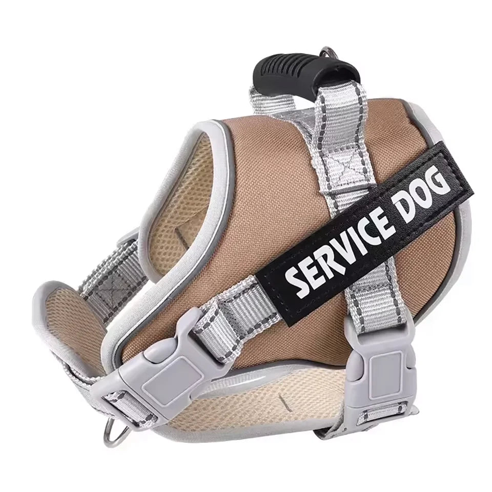 No-Pull Reflective Dog Harness & Leash Set