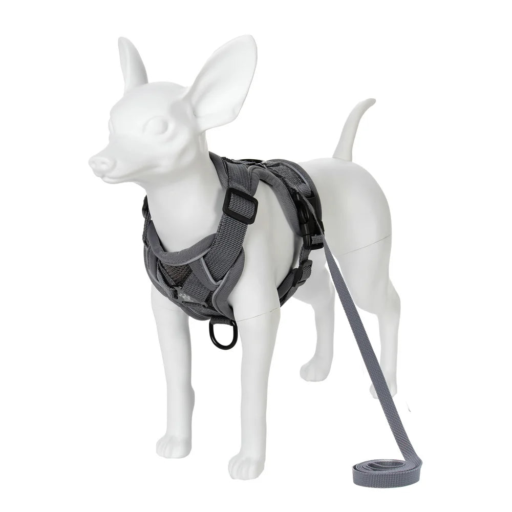 Reflective Mesh Harness & Leash Set for Small Pets - Gray