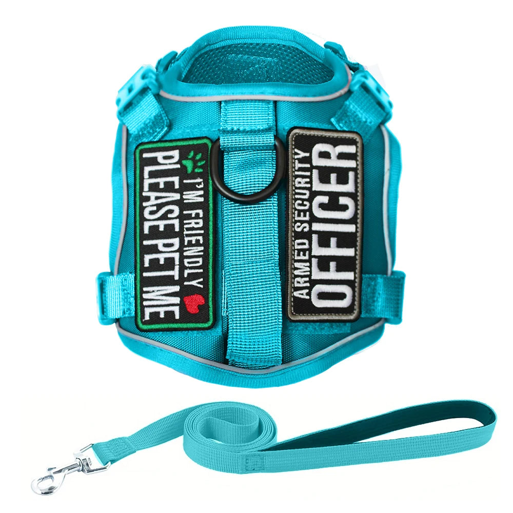 Tactical Harness for Small Dogs with Control Handle - Blue Harness Set