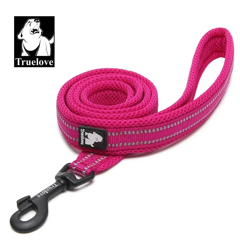 Neoprene-Padded Reflective Dog Leash - Fuchsia