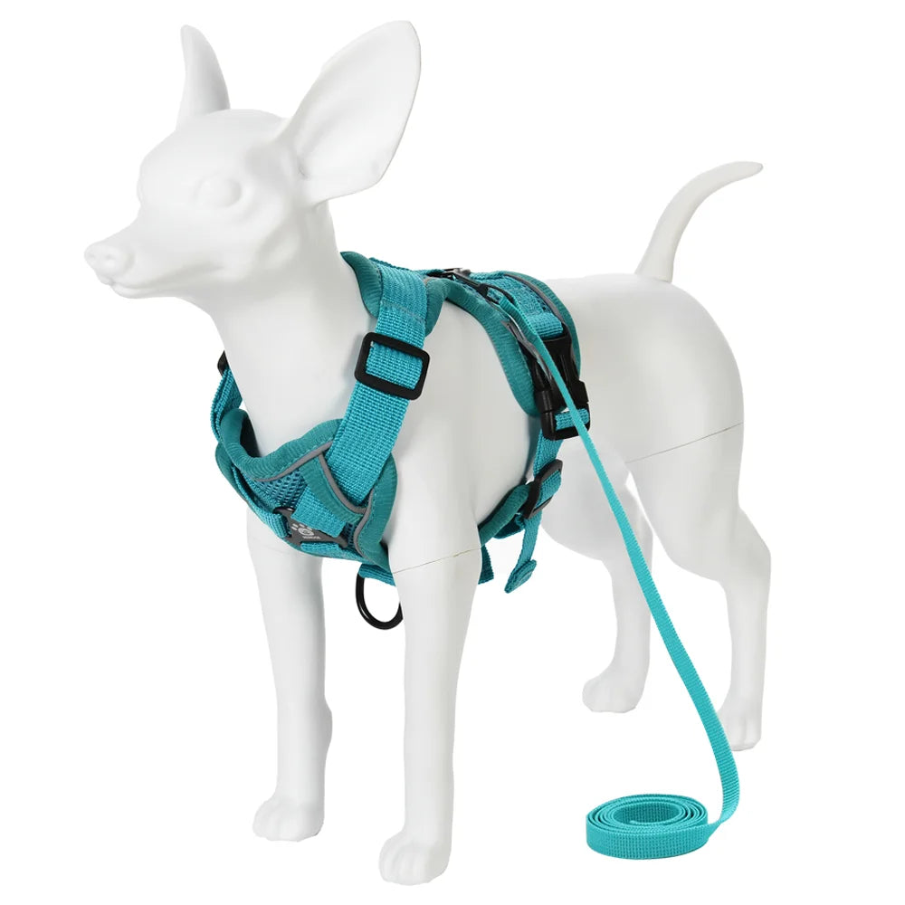 Reflective Mesh Harness & Leash Set for Small Pets - Turquoise