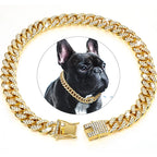 Cuban Link Dog Collar with Cubic Zirconia Stones - Gold