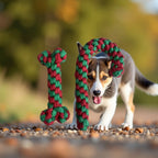 Holiday Rope & Plush Dog Toys – product photo 2