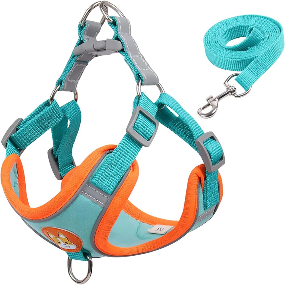 Reflective Harness & Leash Set for Small Dogs and Cats - Lake Blue