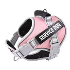 No-Pull Reflective Dog Harness & Leash Set