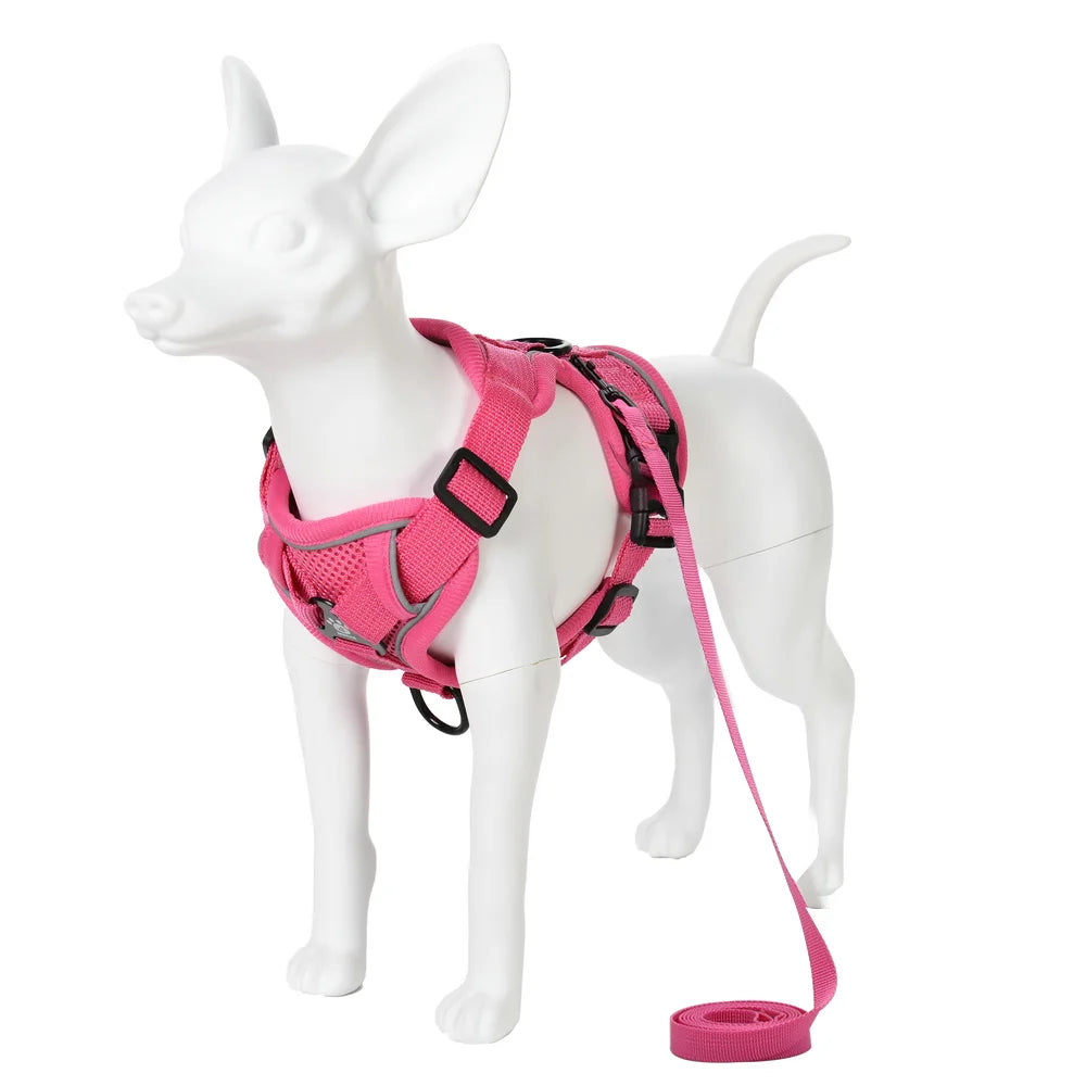 Reflective Mesh Harness & Leash Set for Small Pets - Rose Red