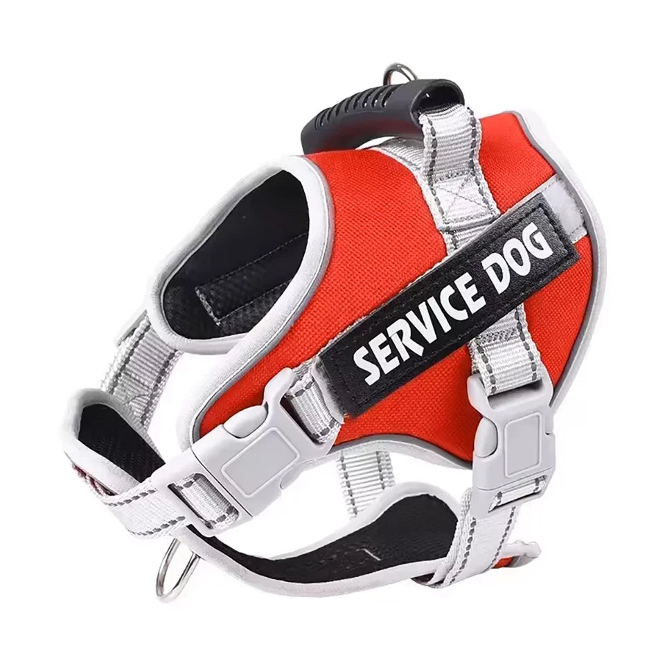 No-Pull Reflective Dog Harness & Leash Set