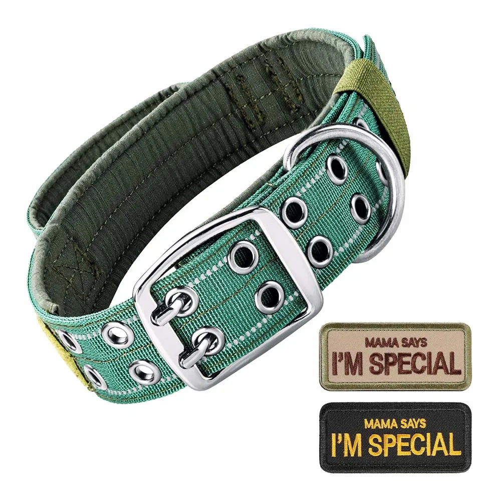 Heavy-Duty Tactical Dog Collar with Double Buckle - Green Collar