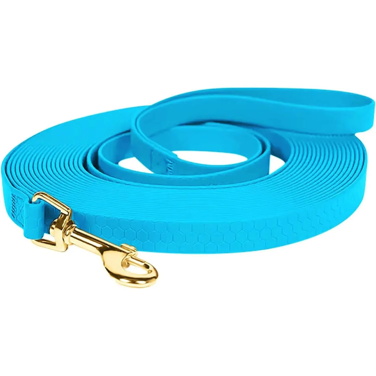 Waterproof PVC Dog Leash with Gold-Tone Buckle - Blue