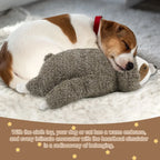 Heartbeat Sloth Plush for Puppies – product photo 6