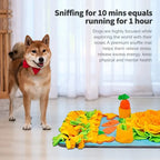 Large Snuffle Mat for Dogs – Slow Feeder & Sniffing Puzzle