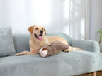 Heartbeat Sloth Plush for Puppies – product photo 5