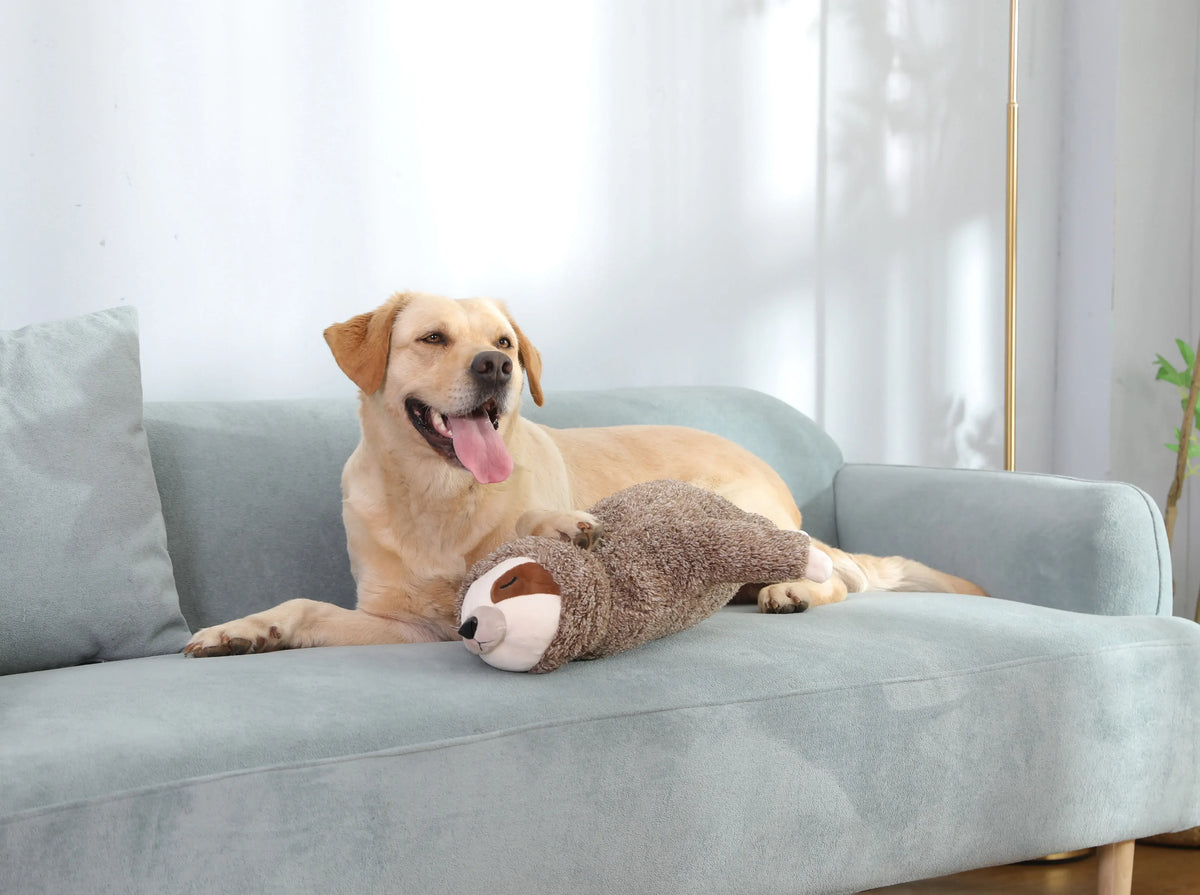 Heartbeat Sloth Plush for Puppies – product photo 5