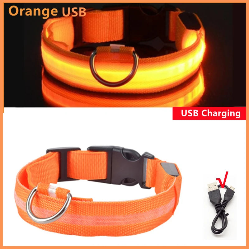 USB Rechargeable LED Safety Dog Collar - Orange – USB Rechargeable