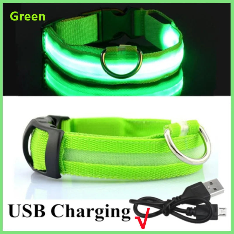 USB Rechargeable LED Safety Dog Collar - Green – USB Rechargeable