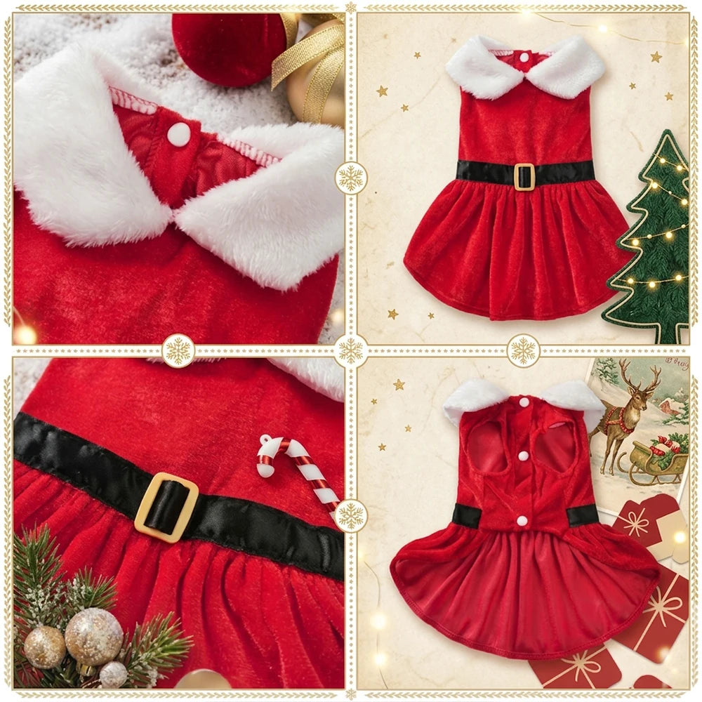 Red Christmas Dress for Dogs & Cats – product photo 2
