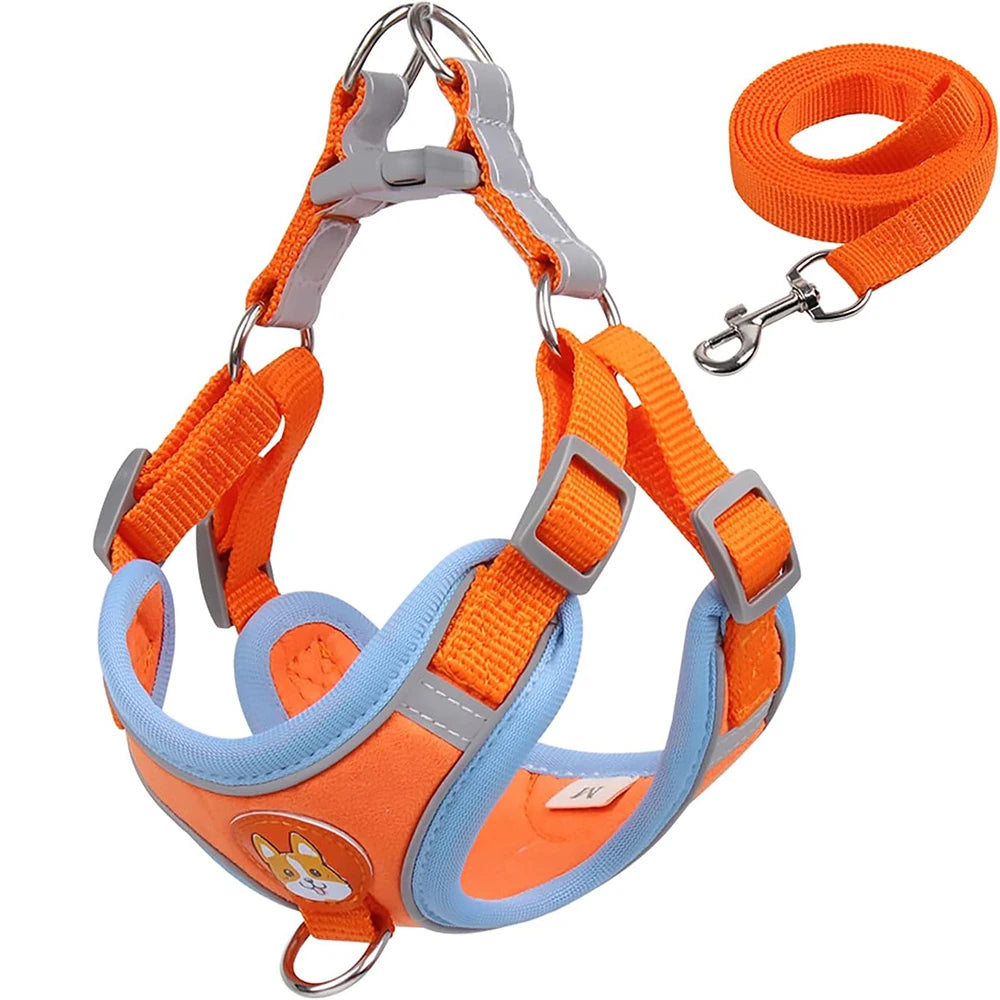 Reflective Harness & Leash Set for Small Dogs and Cats - Orange