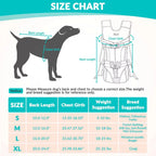 Hands-Free Front Dog Carrier Backpack – Legs-Out & Padded