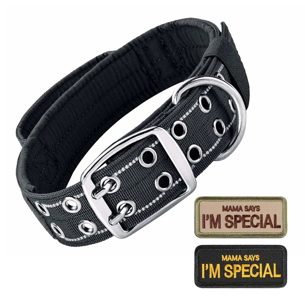 Heavy-Duty Tactical Dog Collar with Double Buckle - Black Collar