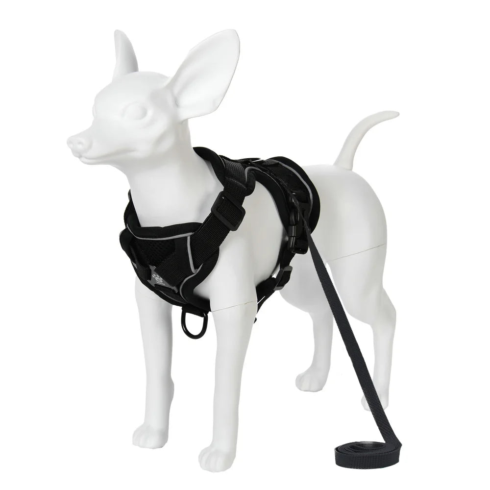Reflective Mesh Harness & Leash Set for Small Pets - Black