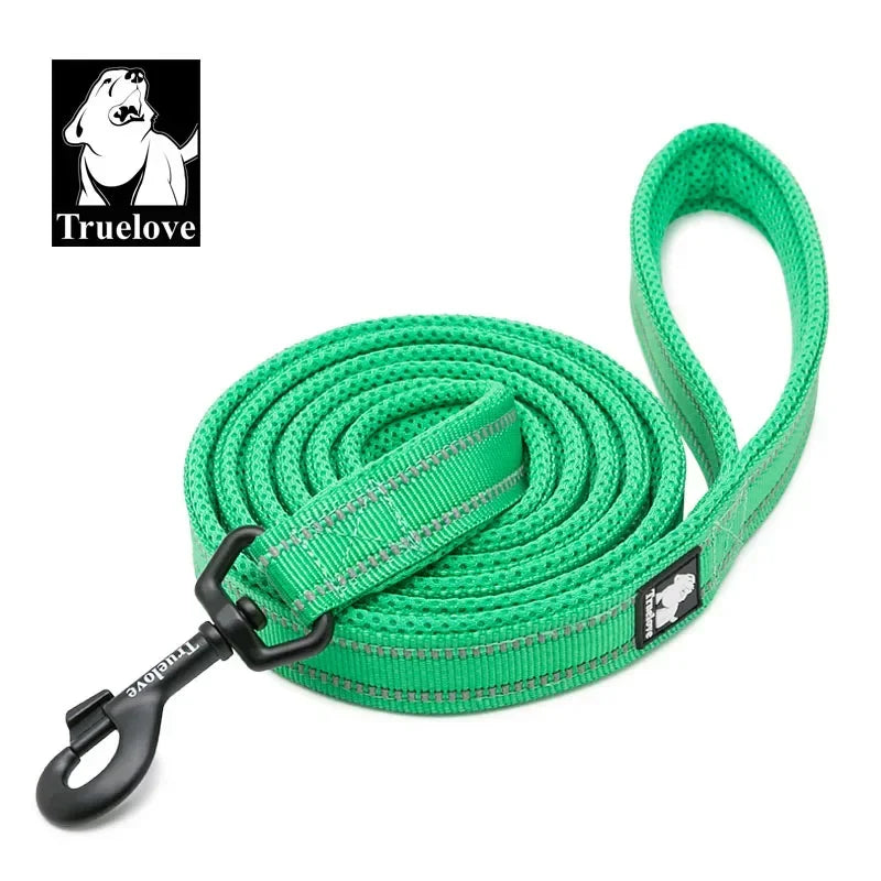 Neoprene-Padded Reflective Dog Leash - Grass Green