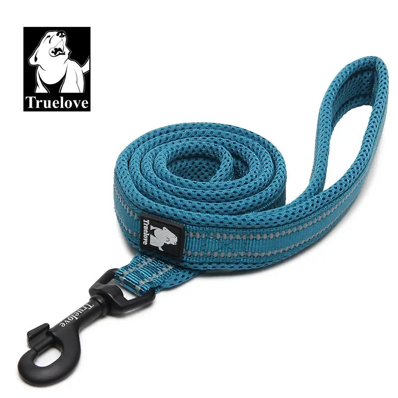 Neoprene-Padded Reflective Dog Leash - Blue