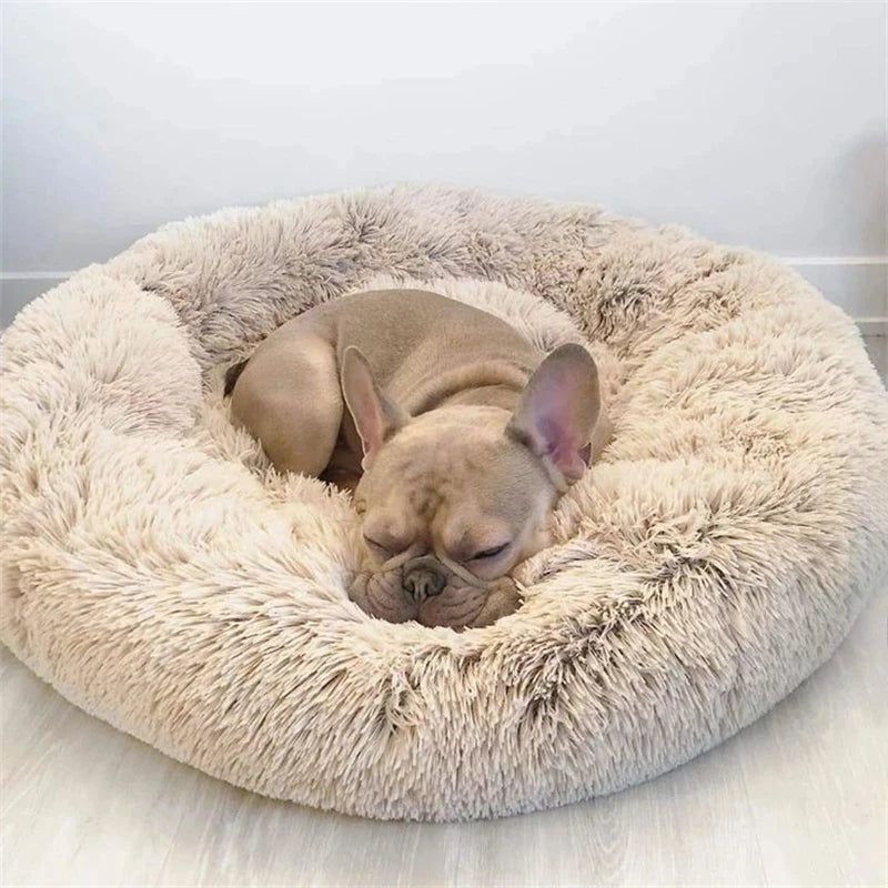 Calming Donut Bed for Dogs & Cats – Fluffy Plush