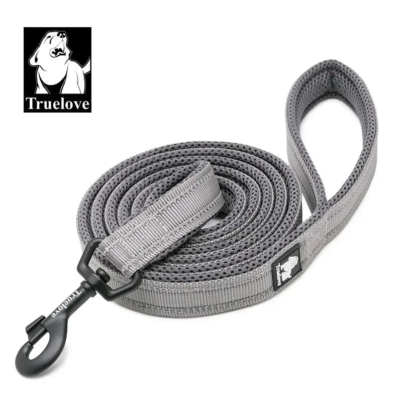 Neoprene-Padded Reflective Dog Leash - Gray