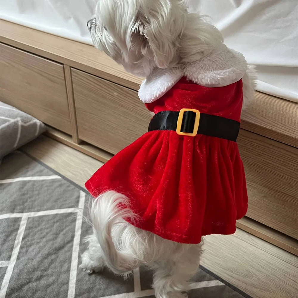 Red Christmas Dress for Dogs & Cats – product photo 5