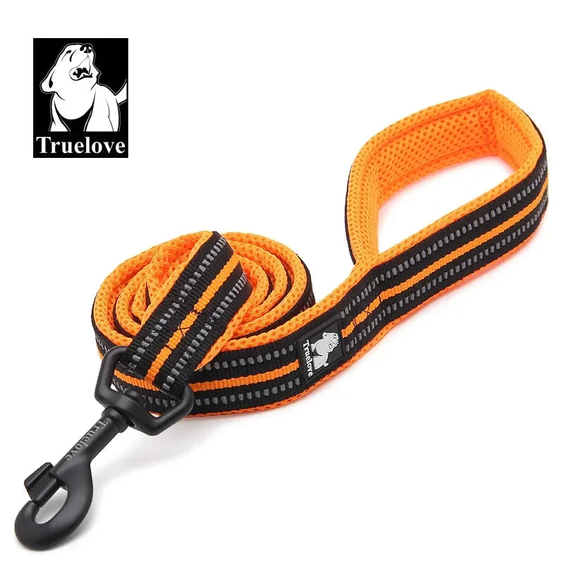 Neoprene-Padded Reflective Dog Leash - Orange