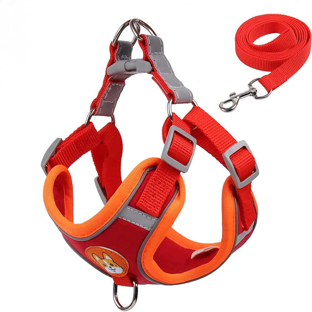Reflective Harness & Leash Set for Small Dogs and Cats - Red