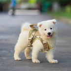 Tactical Harness & Leash Set for Small Pets – photo 11