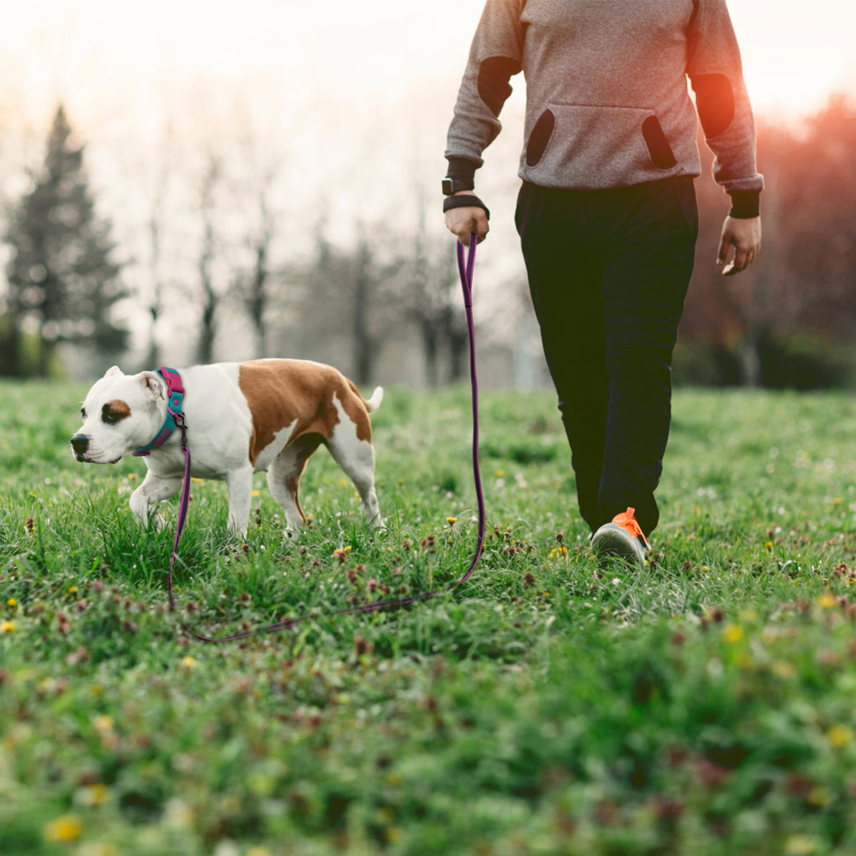 Training Dog Leash – 1.5m to 5m – photo 13