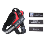 Personalized Dog Collar with Custom Name Patch