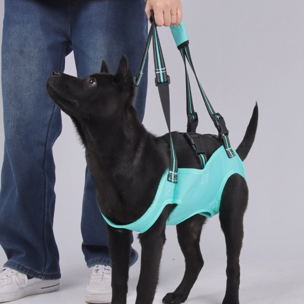 Dog Lift Support Harness – photo 13