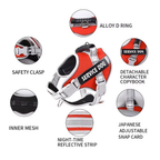 No-Pull Reflective Dog Harness & Leash Set