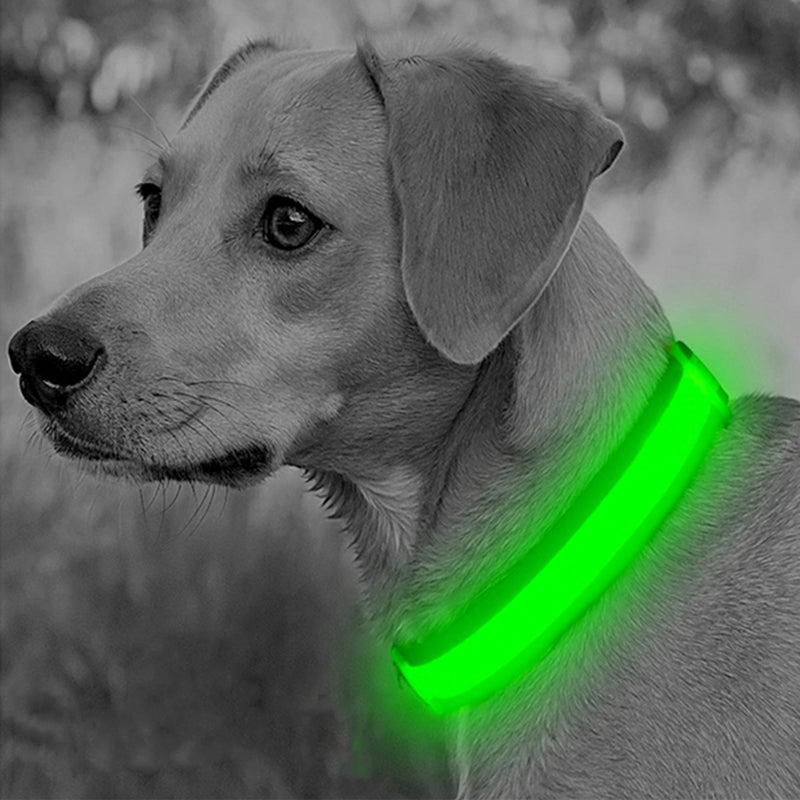 USB Rechargeable LED Safety Dog Collar