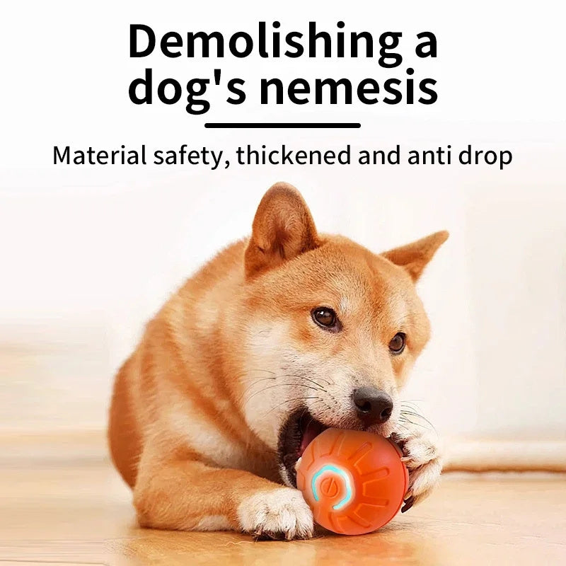 USB Rechargeable Interactive Dog Ball