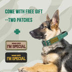 Heavy-Duty Tactical Dog Collar with Double Buckle – photo 4