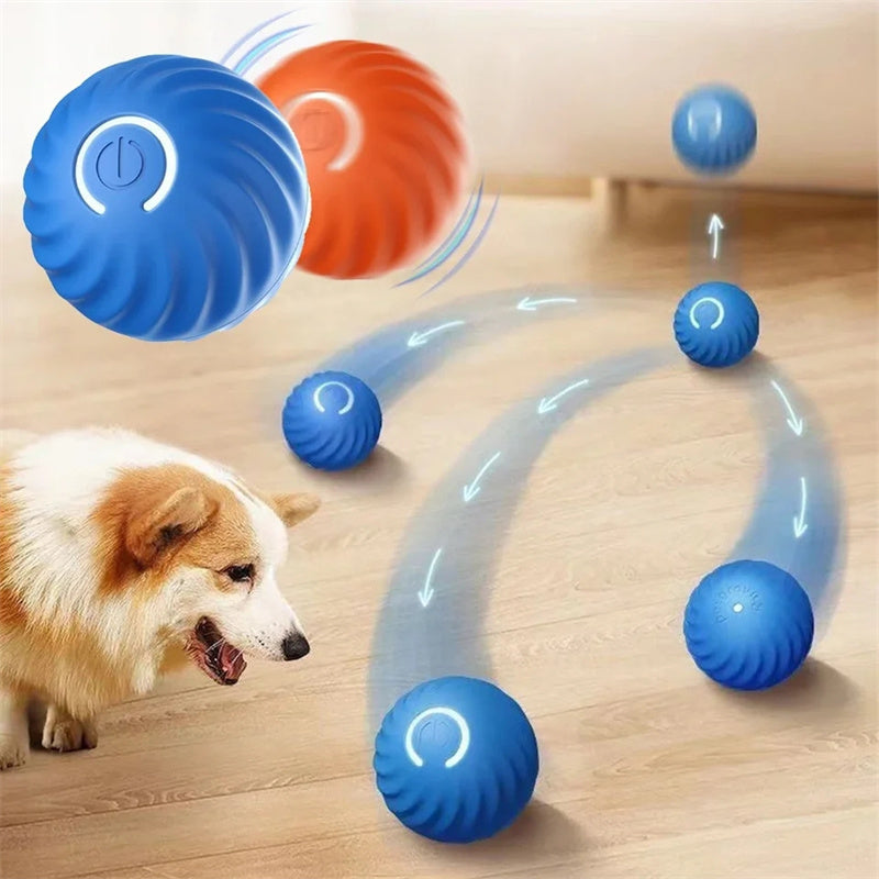 USB Rechargeable Interactive Dog Ball