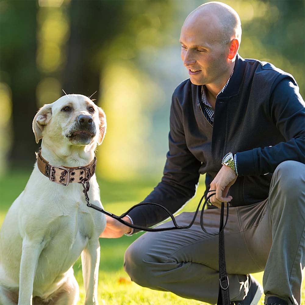 Heavy-Duty Tactical Dog Collar with Double Buckle – photo 14
