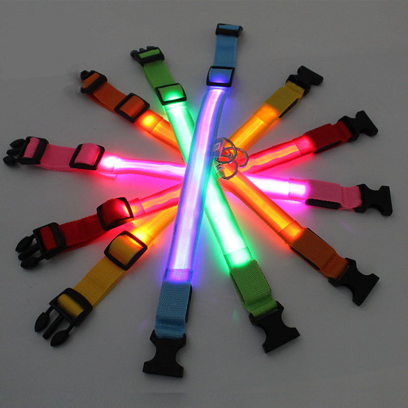 USB Rechargeable LED Safety Dog Collar