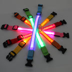 USB Rechargeable LED Safety Dog Collar